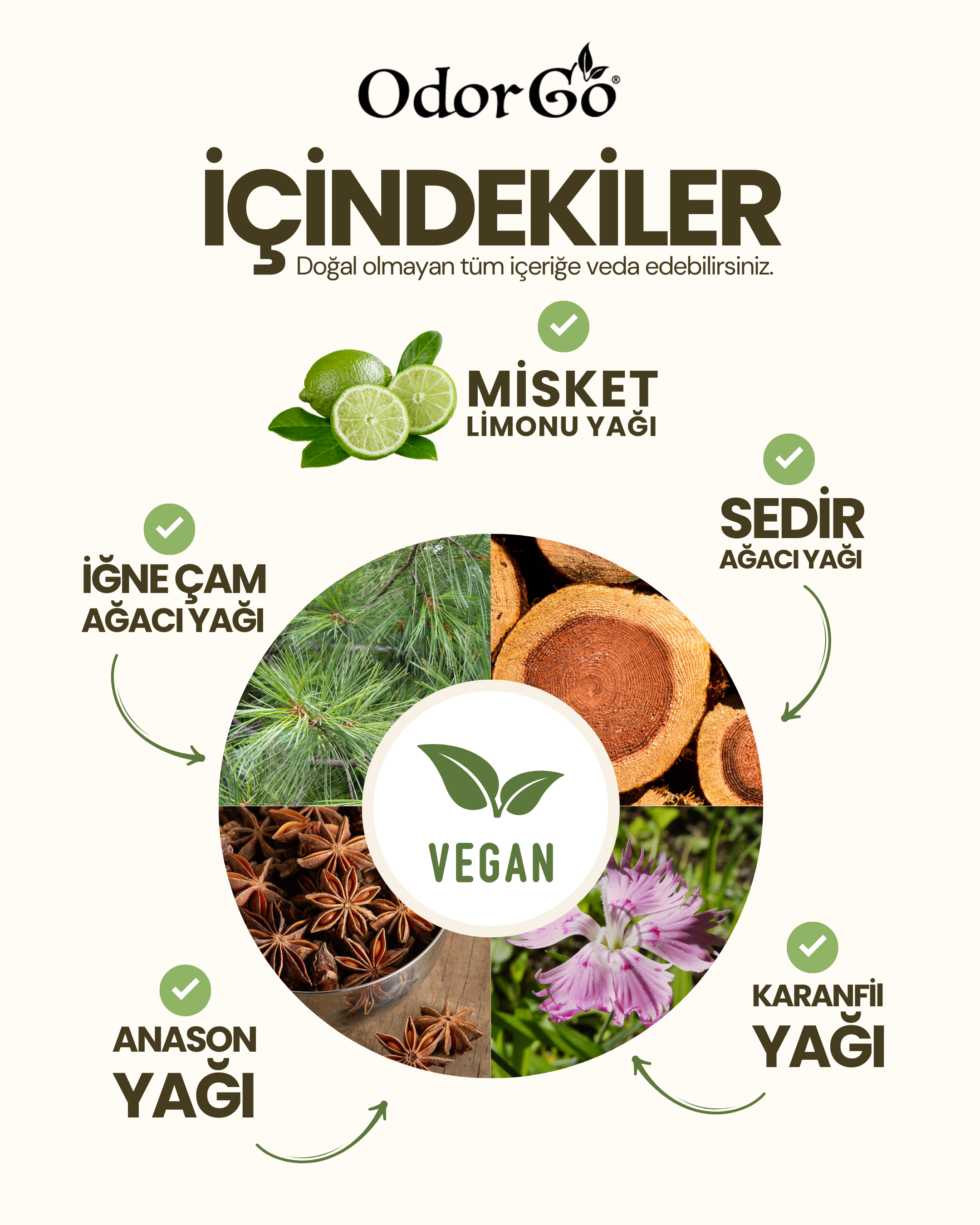 OdorGo ingredients infographic — lime, cedar, pine, anise and clove oils around a vegan mark
