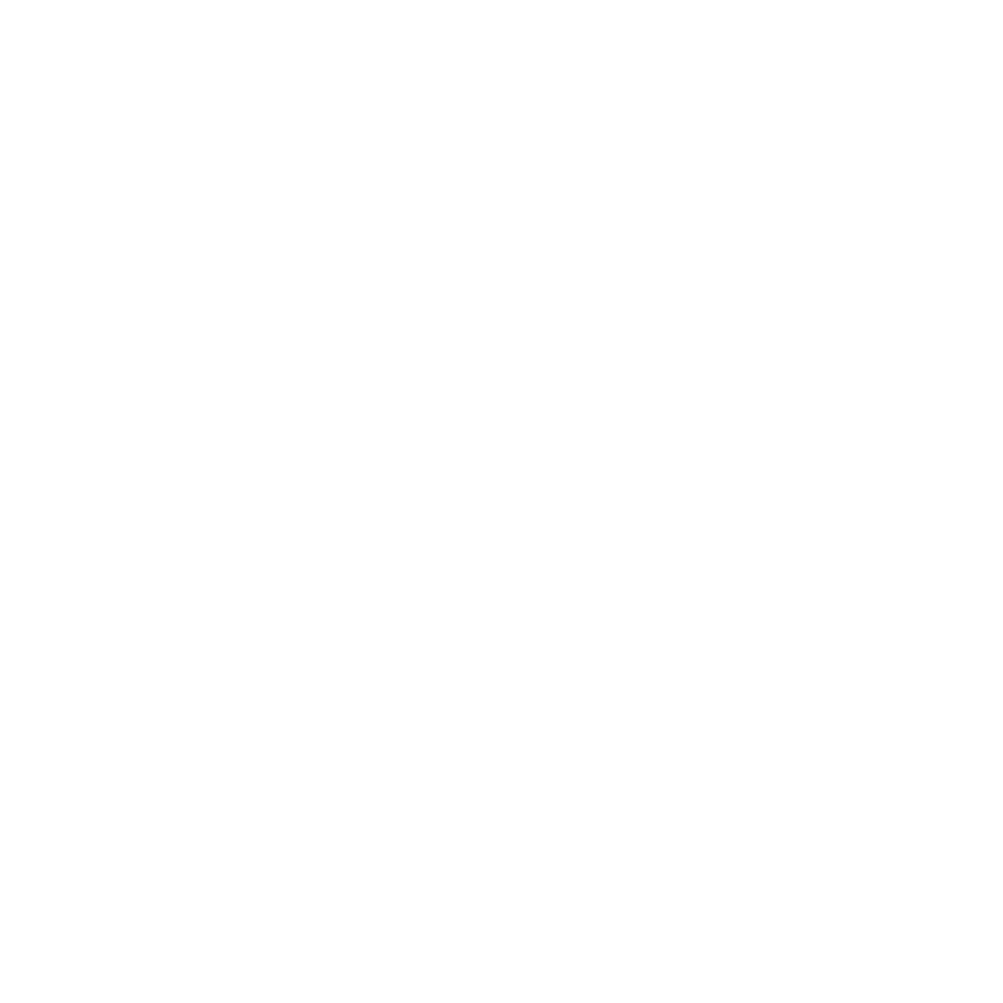 logo light